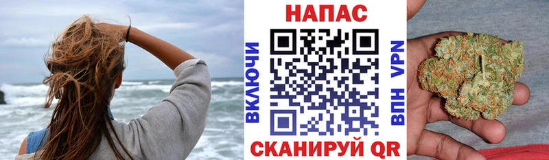 Бошки Шишки тримм Светогорск